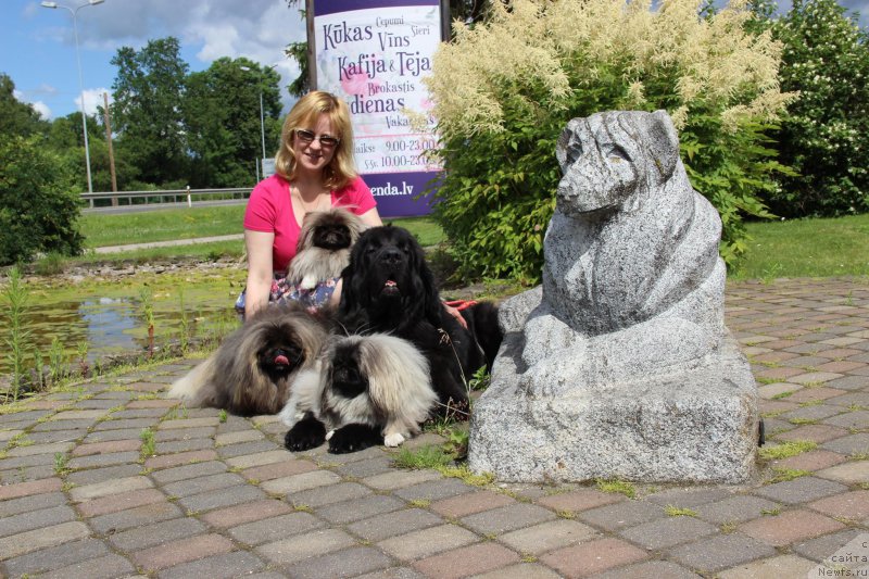 Фото: ньюфаундленд Смигар Легенда Весны (Smigar Legenda Vesny), Лариса Башарова, и сопровождающие их пекинесы!