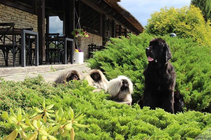 Фотография № 185834