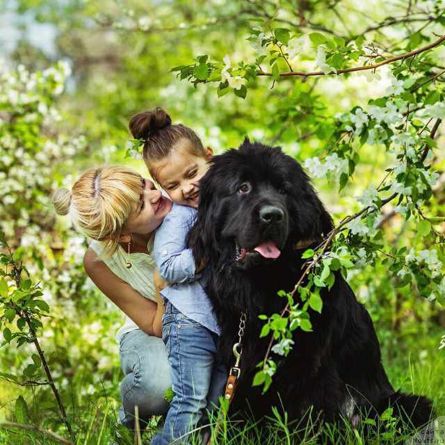 Фотография № 185850