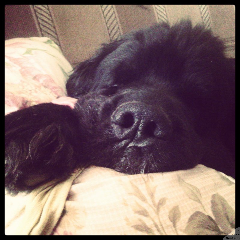 Фотография № 185852