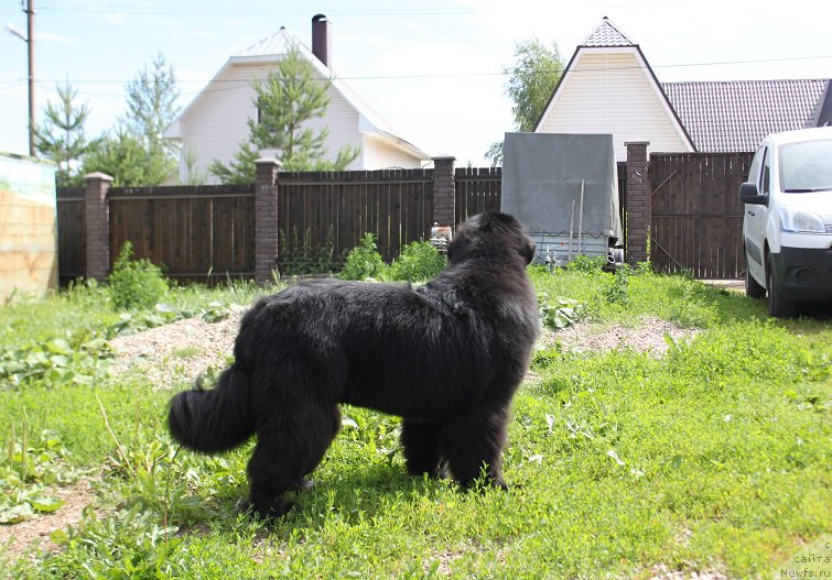 Фотография № 185853