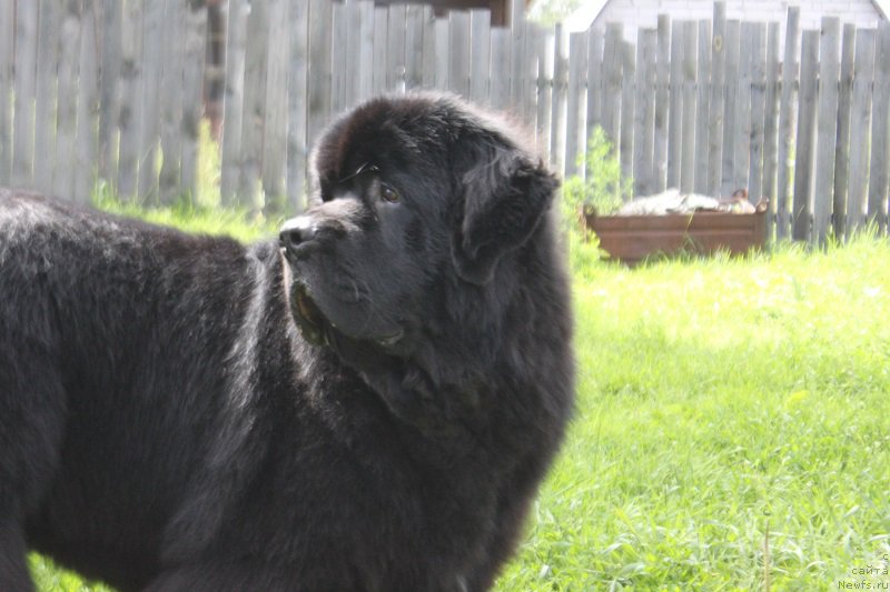 Фотография № 185854