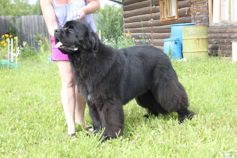 Фотография № 185857