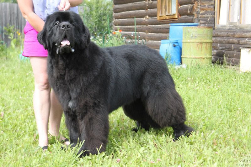 Фотография № 185858