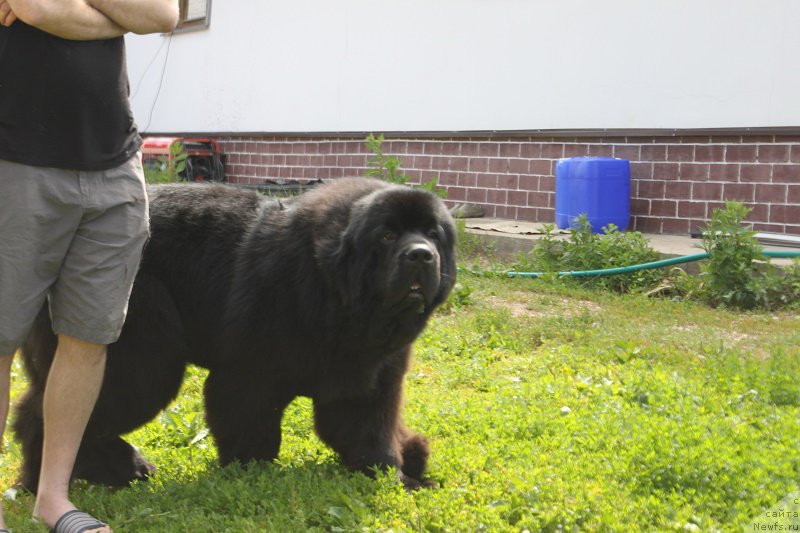 Фотография № 185860