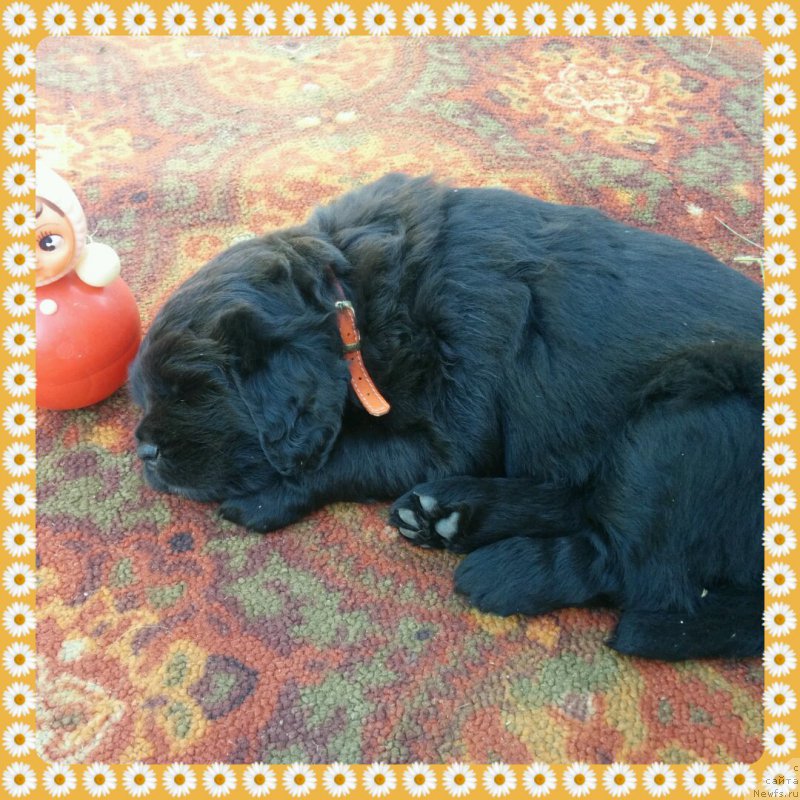 Фото: [p326]Ариэль из Академии шоколада