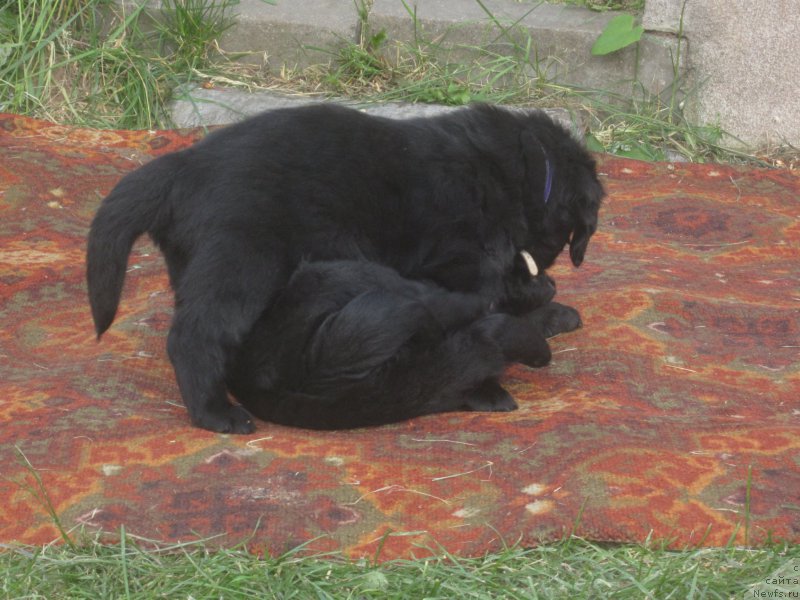 Фото: Наталья Смазчикова