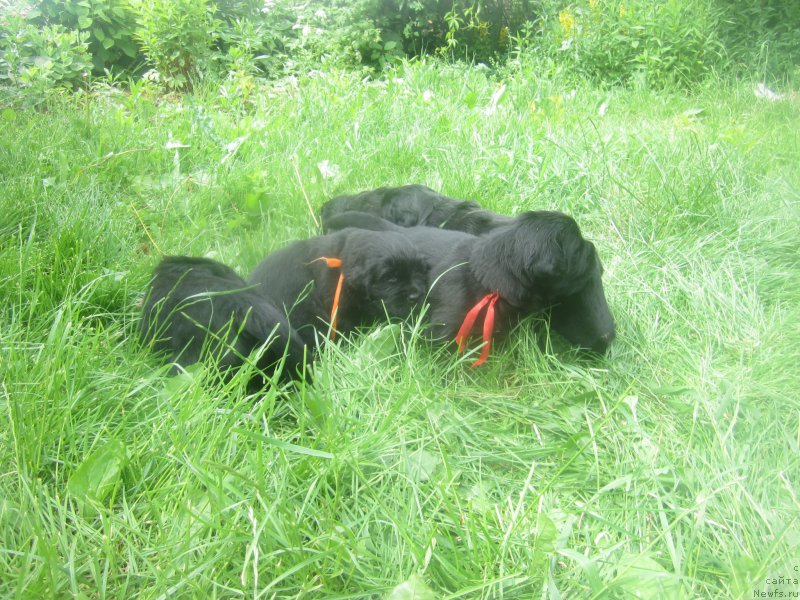 Фото: Наталья Смазчикова