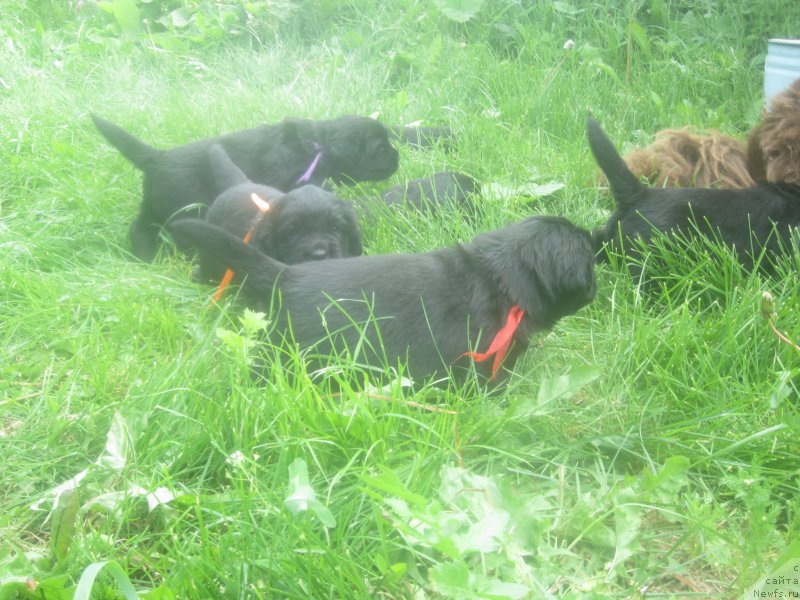 Фото: Наталья Смазчикова