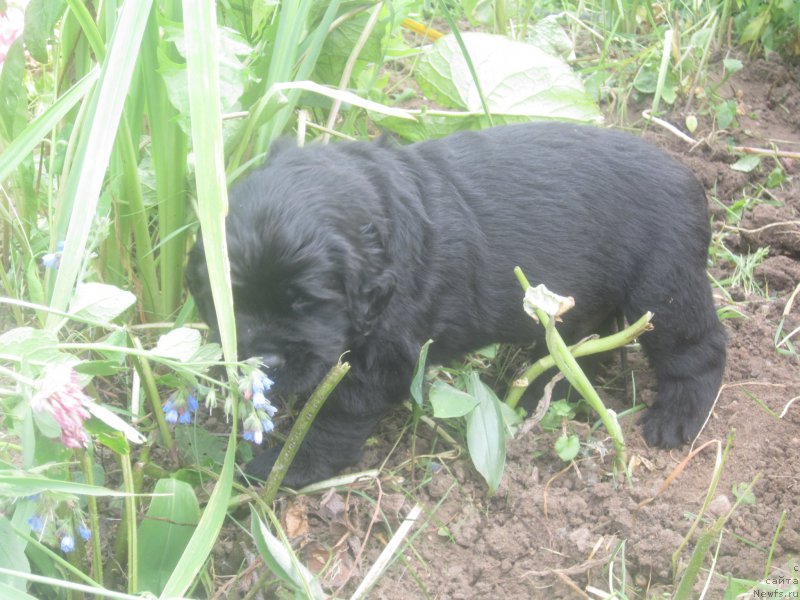 Фото: Наталья Смазчикова