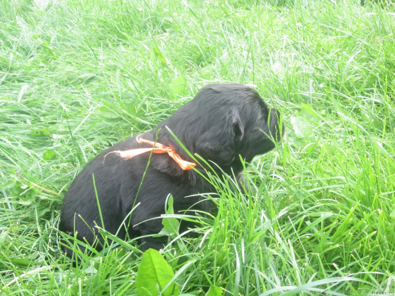 Фото: Наталья Смазчикова