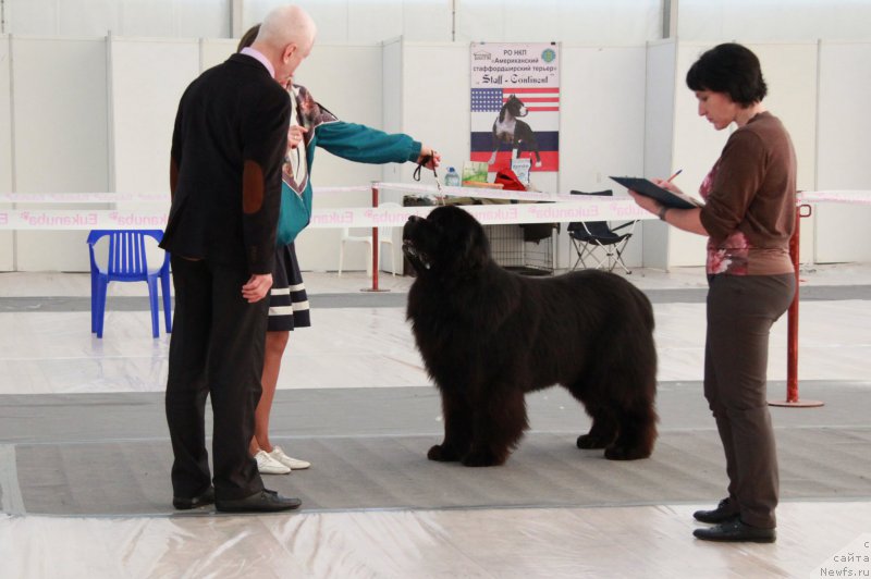 Фотография № 185947