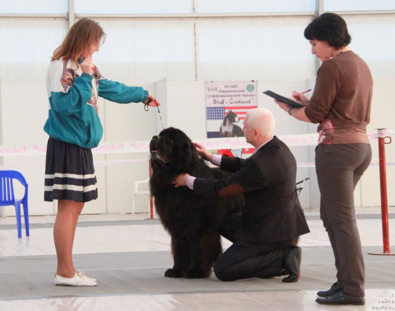 Фотография № 185948