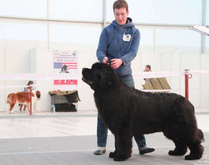 Фотография № 185957