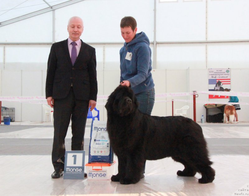 Фотография № 185960