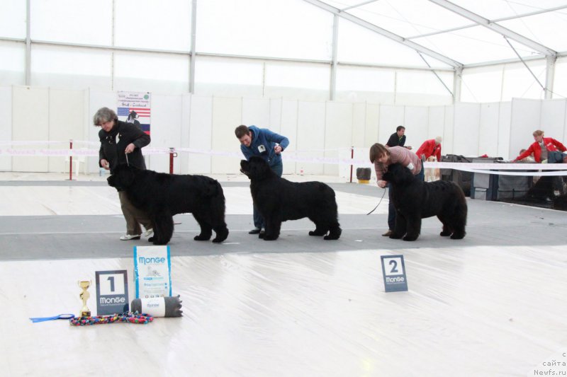 Фотография № 185964