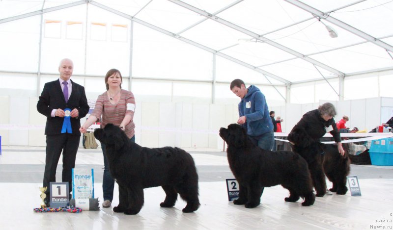 Фотография № 185965