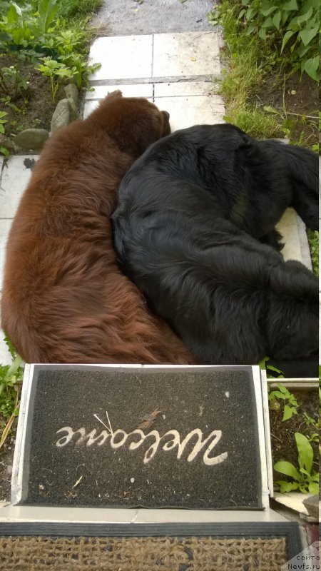 Фотография № 185966