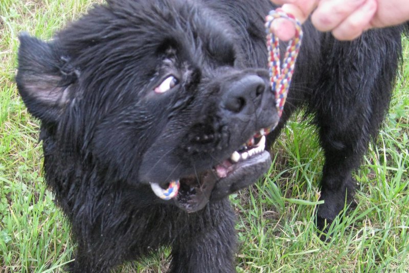 Фотография № 185973