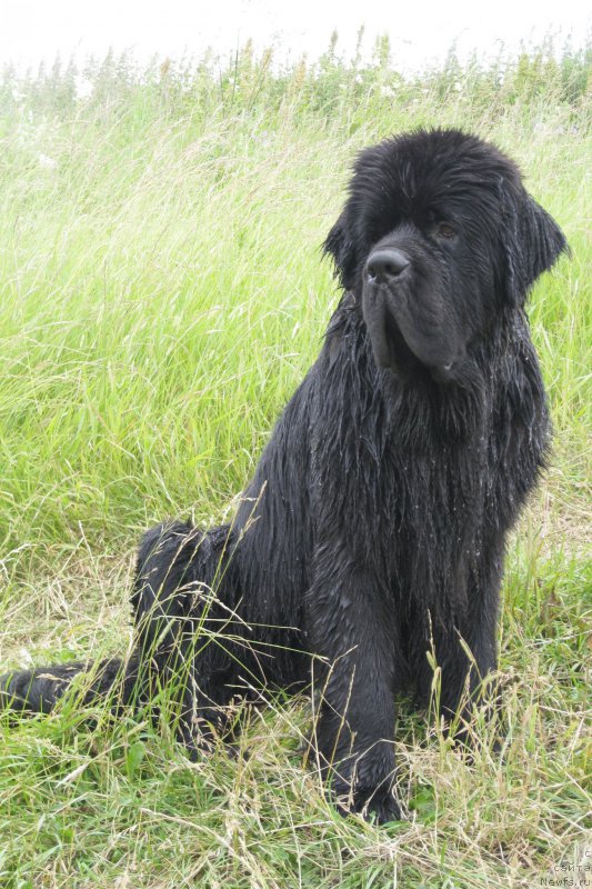 Фотография № 185978