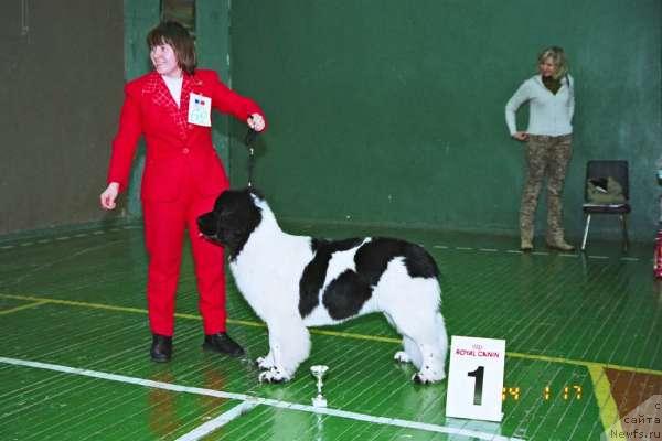 Фотография № 186