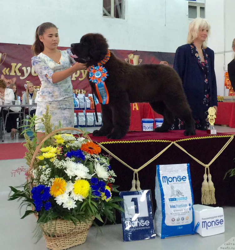 Фотография № 186000