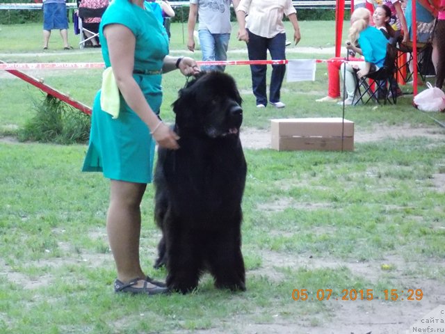 Фотография № 186020