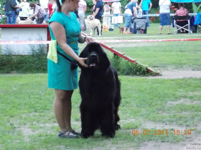 Фотография № 186022