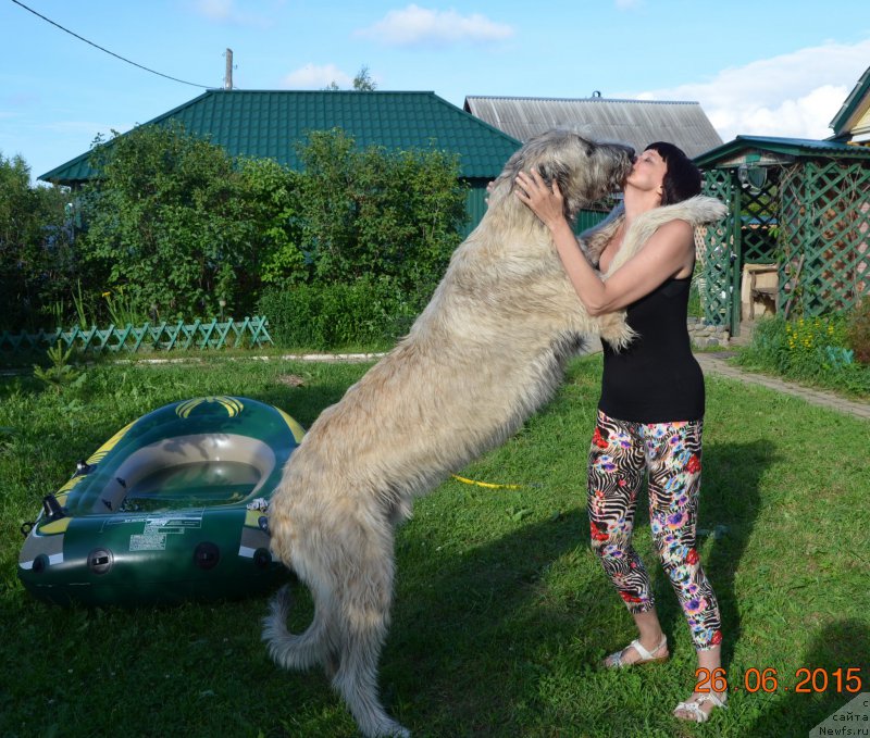 Фотография № 186029