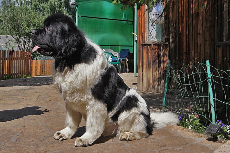 Фотография № 186036