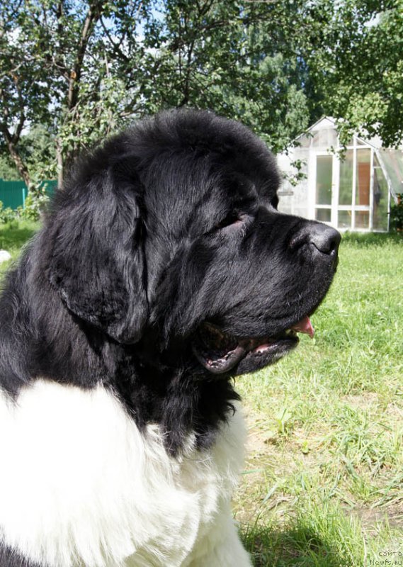 Фотография № 186045