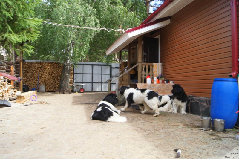 Фотография № 186048