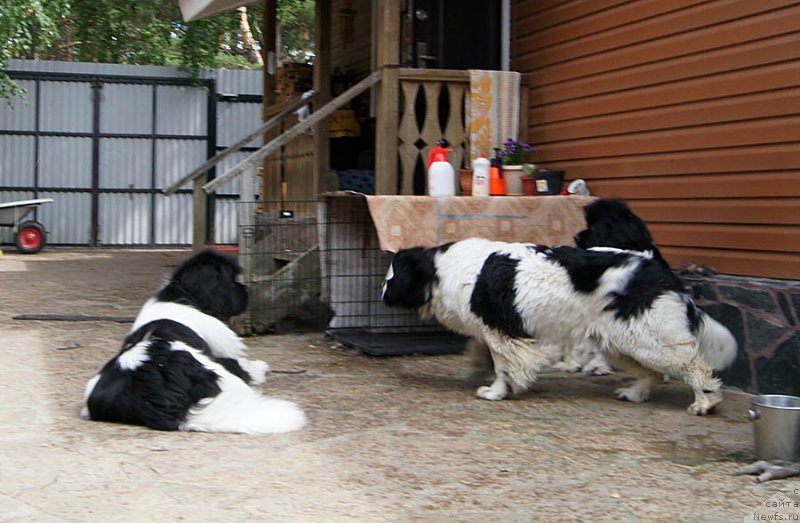 Фотография № 186049