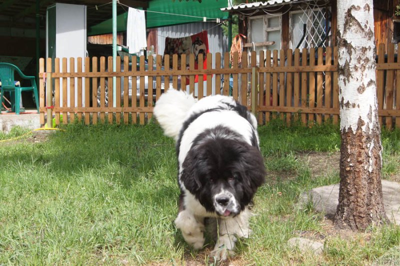 Фотография № 186050