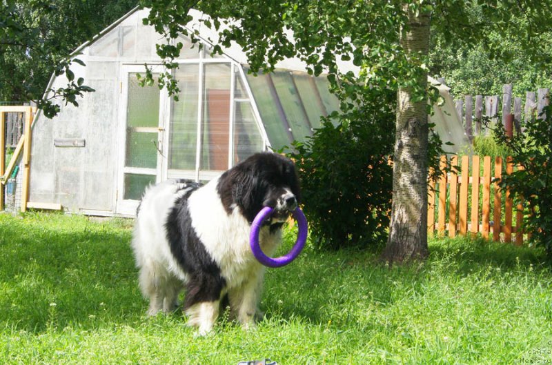 Фотография № 186051