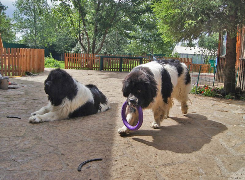 Фотография № 186052