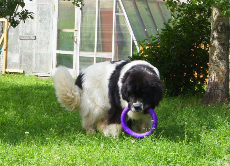 Фотография № 186053