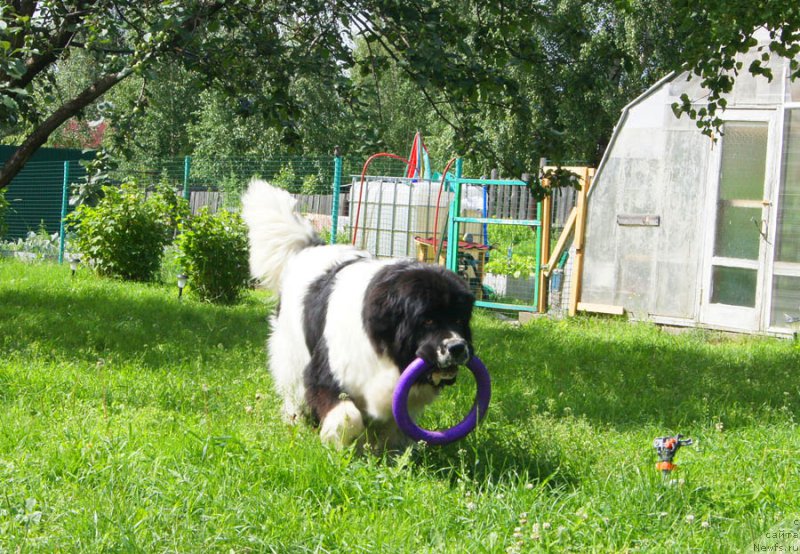 Фотография № 186054