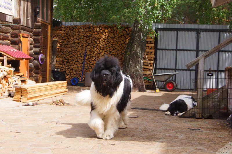 Фотография № 186055