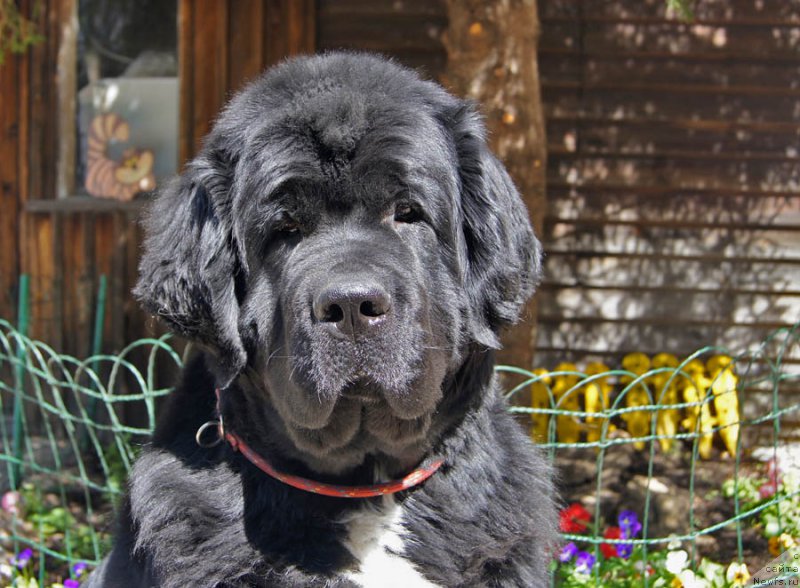 Фотография № 186057