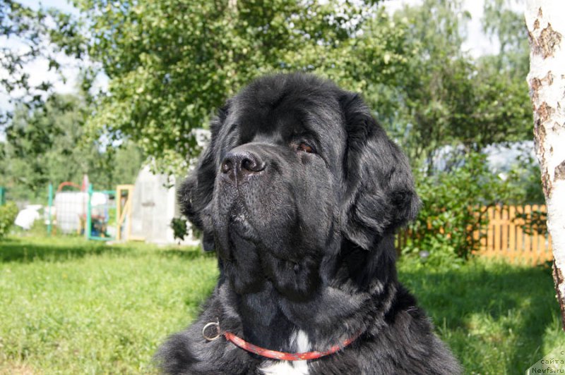 Фотография № 186058