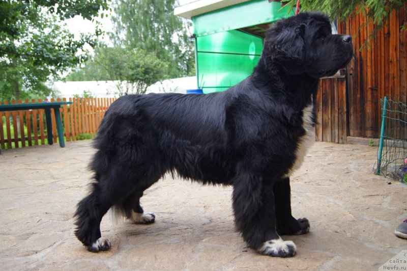 Фотография № 186062