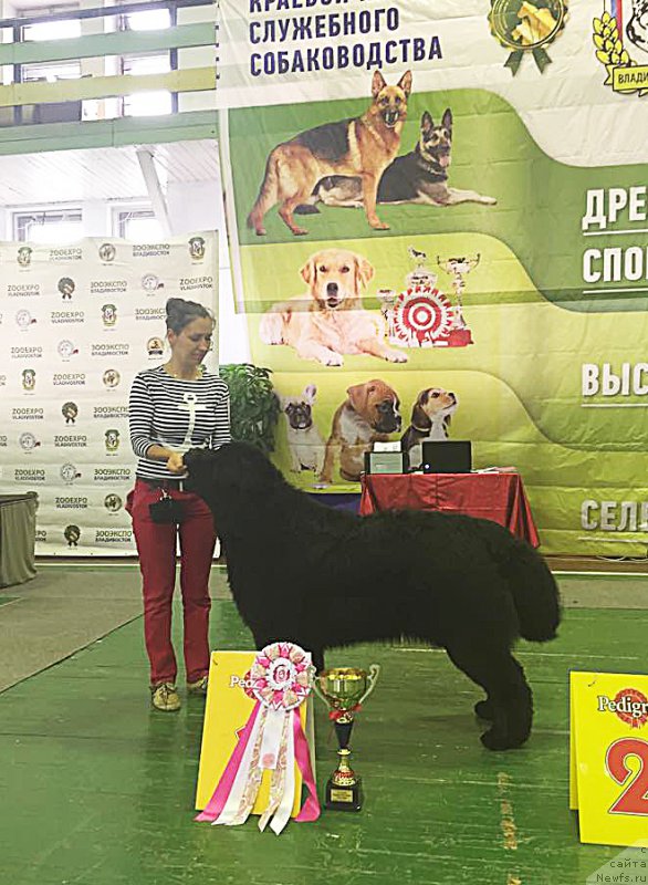 Фотография № 186064