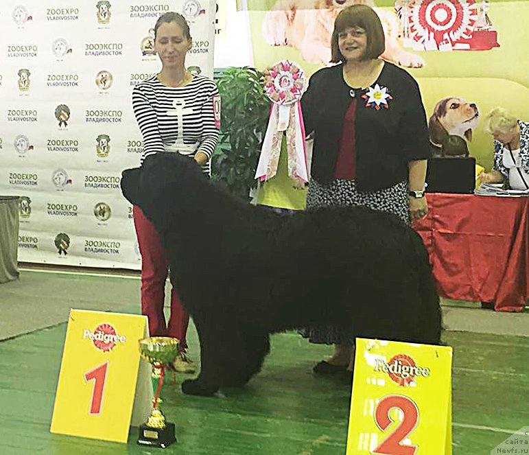 Фотография № 186065