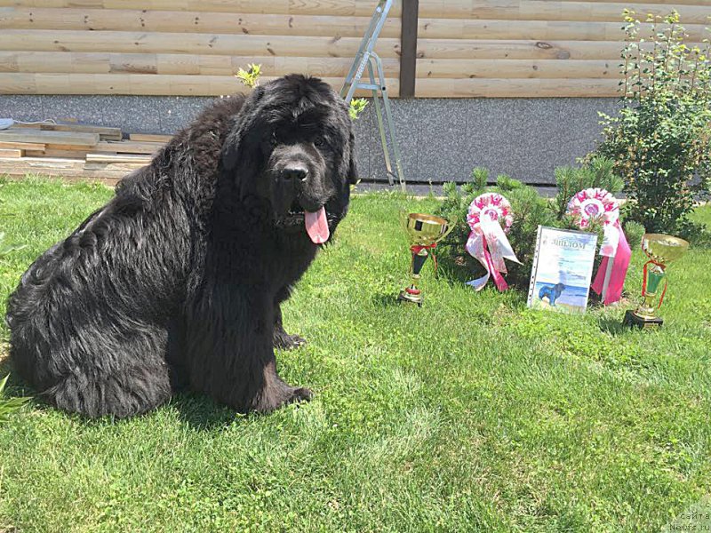 Фотография № 186066