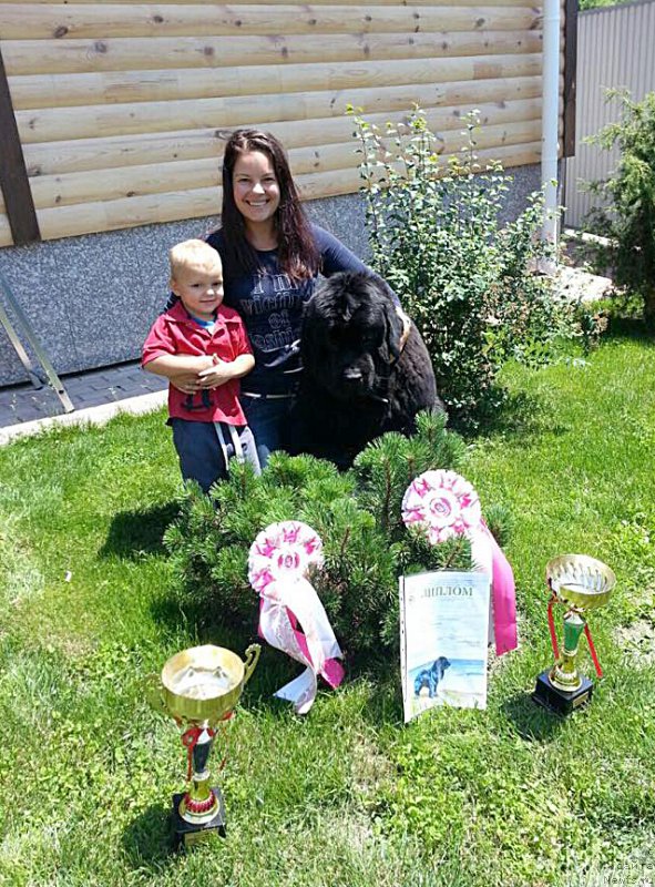 Фотография № 186068