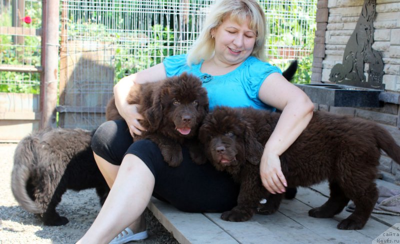 Фотография № 186081