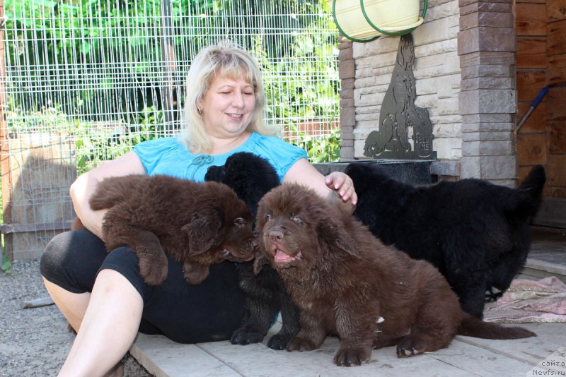 Фотография № 186083