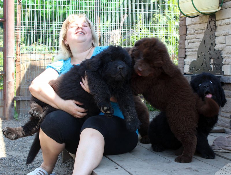 Фотография № 186084