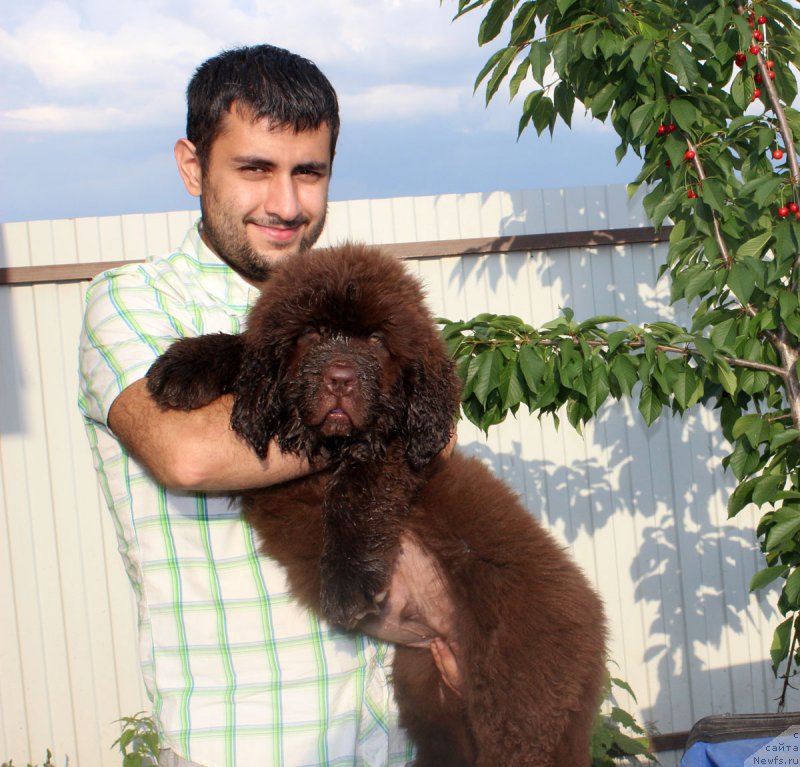 Фотография № 186087